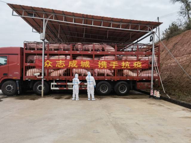   支持香港抗疫保供