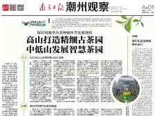 探访凤凰单丛茶发展|一文速览《南方日报·潮州观察》第79期