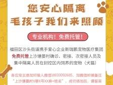 毛孩子我们来照顾！福田上沙隔离居民可享受宠物免费托管服务