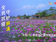 全民抗疫 守护麻涌|等到疫情散尽，同赏华阳春色