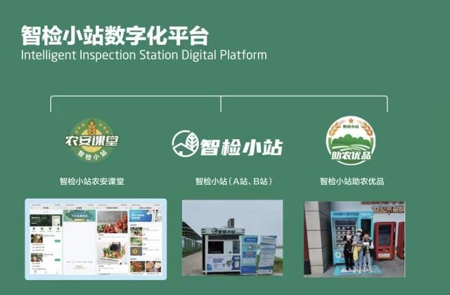 南方农村报 杨鹏 拍摄