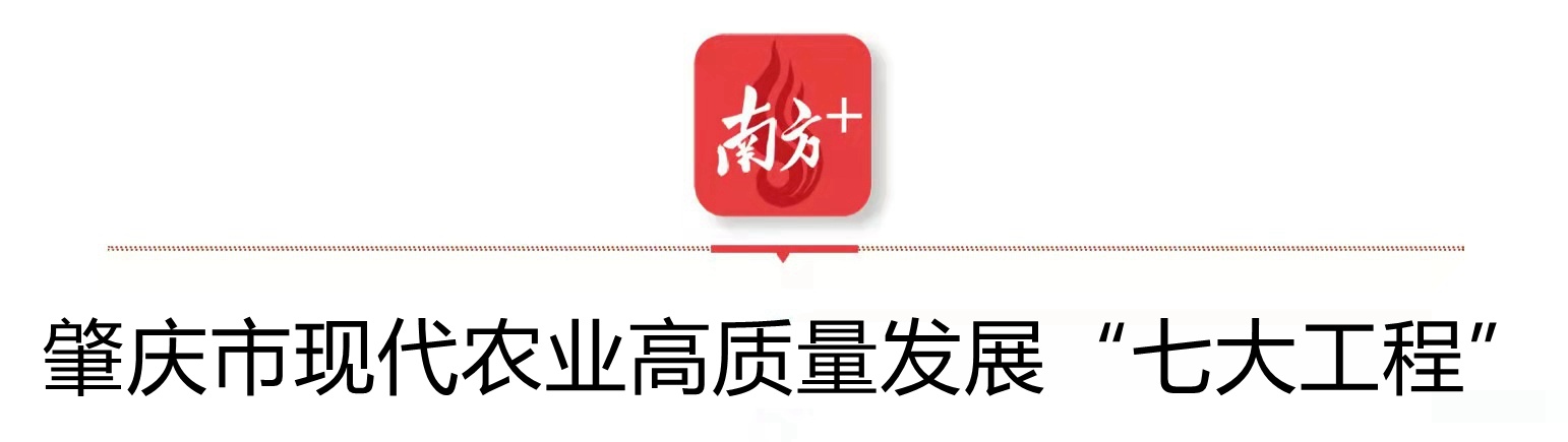 受访者供图
