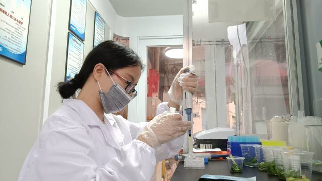 南方农村报 杨鹏 拍摄