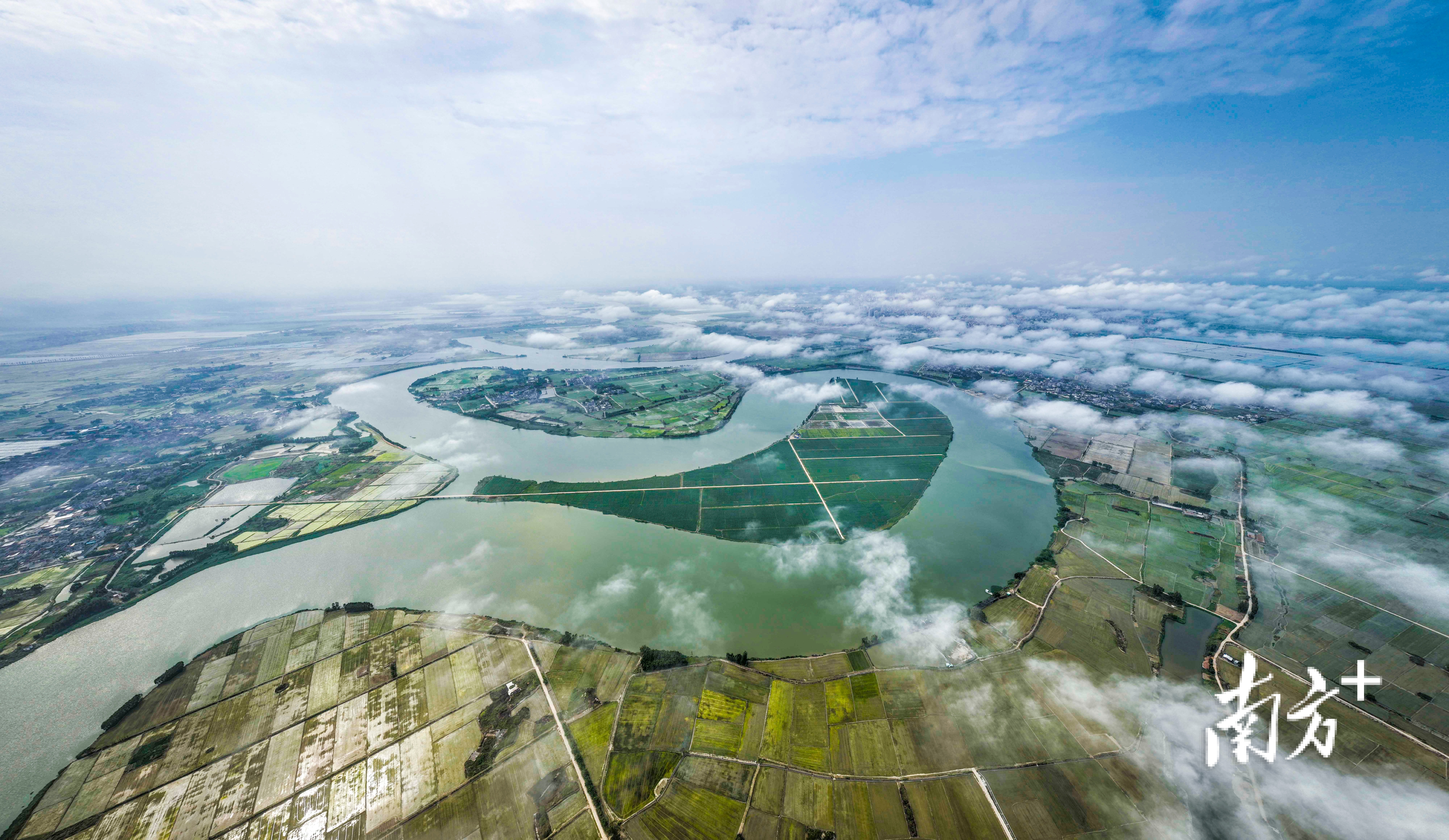 湛江雷州南渡河两岸,享有"广东粮仓"美誉的东西洋田已经插满秧苗.