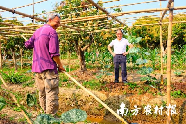 骆世明教授在海珠湿地1号地块调研