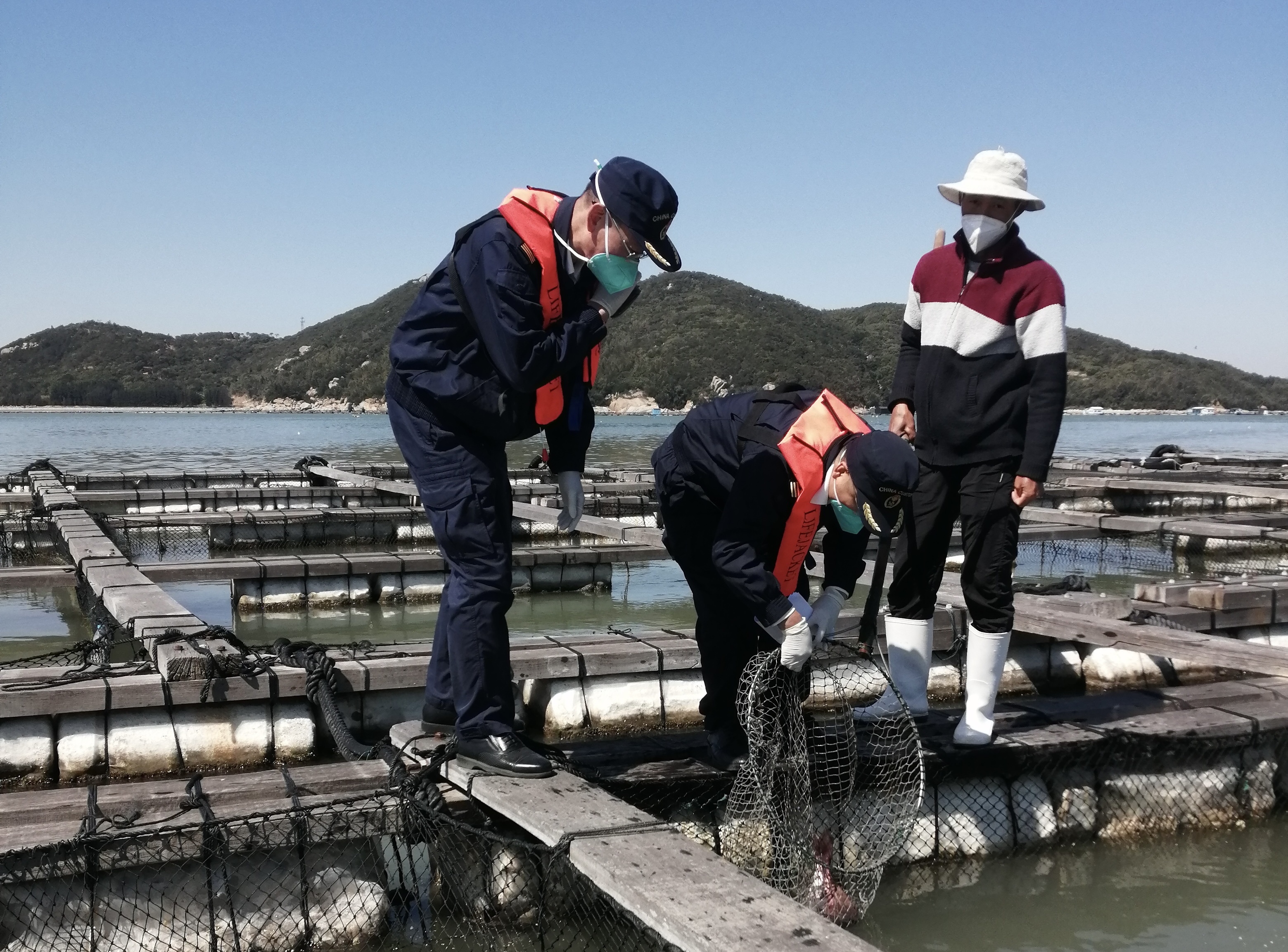 饶平海关关员在监管出口活鱼。 