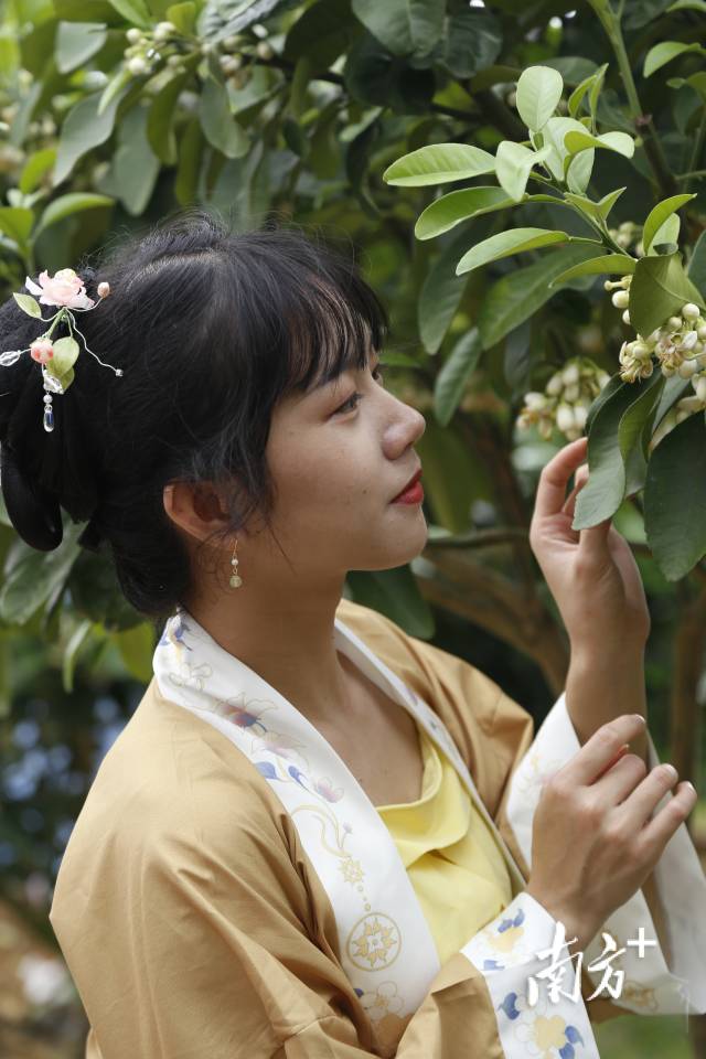 汉服爱好者赏花踏青。