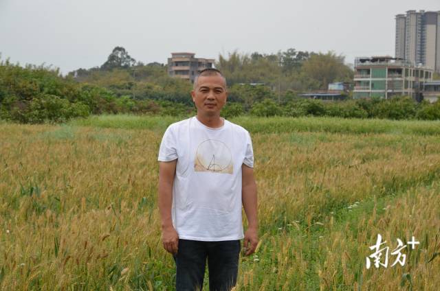  清远市振飞农业服务有限公司总经理何飞明