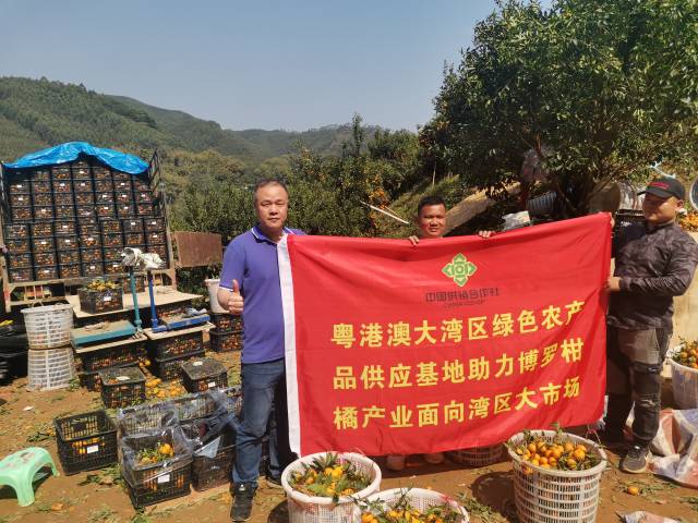 积极对接采购。