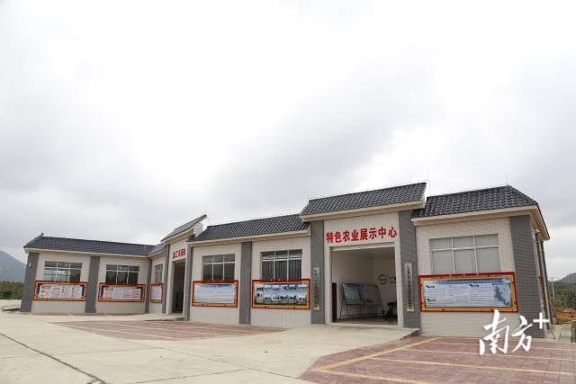 红峰农场生产车间。