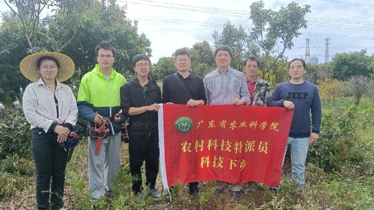 科技駐鎮(zhèn)進(jìn)行時(shí)丨春來(lái)培訓(xùn)嫁接忙,，為農(nóng)業(yè)發(fā)展注“活水”