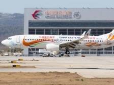 东航客机坠毁，救援正在进行！