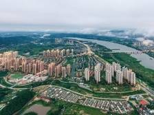 南方观察｜博罗的“稳”与“进”