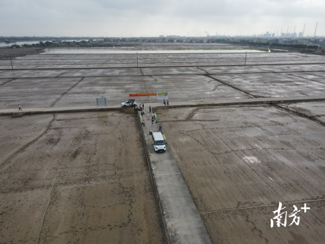 南方农村报 市农科院 拍摄