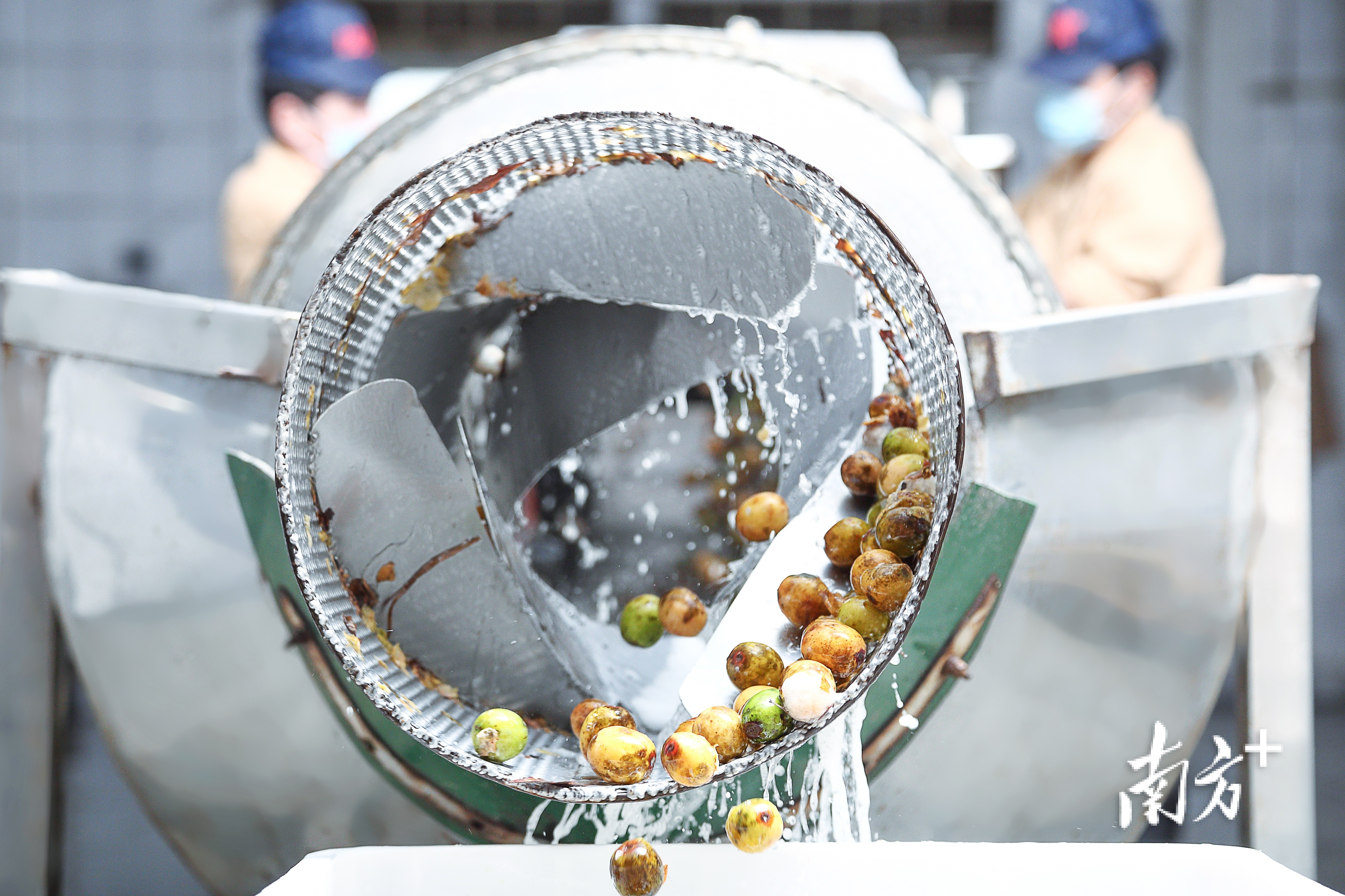 现代农业食品生产线