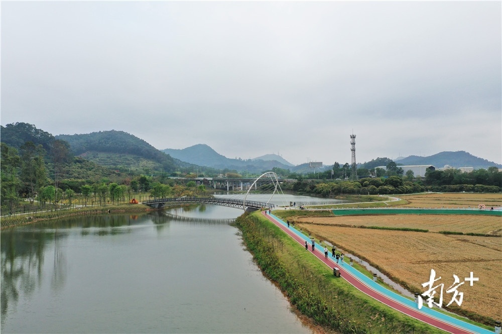 多图熟悉的黄江回来了