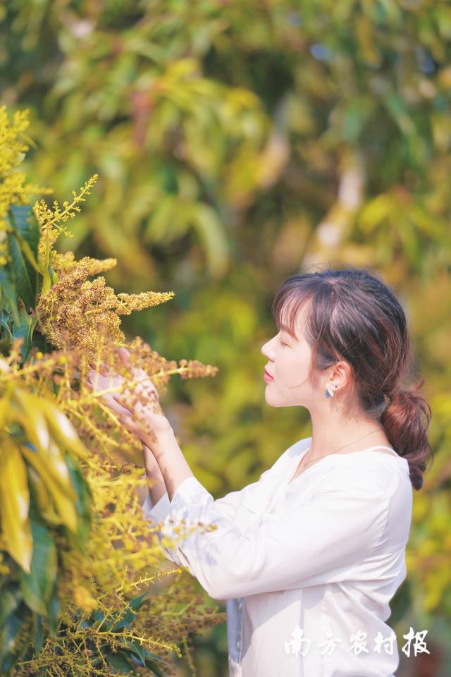 南方农村报 谢进扬 拍摄