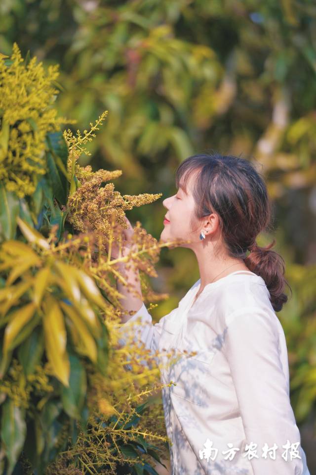 南方农村报 谢进扬 拍摄