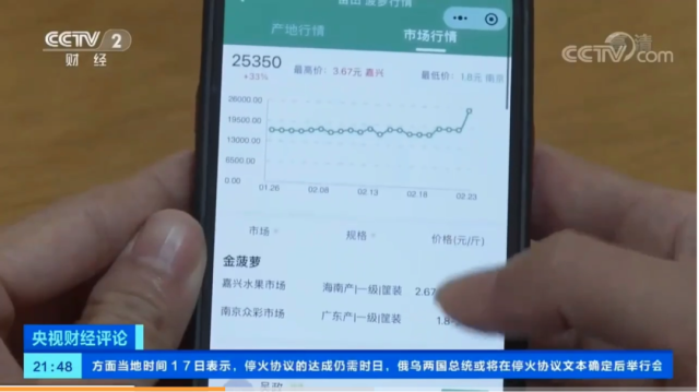 果农在一亩田菠萝大数据上查阅供需信息