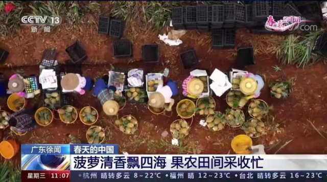 通讯员 一亩田 供图