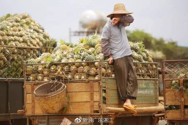 广东这场在徐闻做的产业实验，入局者们都在做什么？