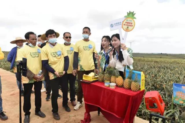 主播网红开展百千田头直播