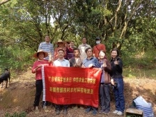 科技駐鎮(zhèn)進(jìn)行時(shí)丨仲愷農(nóng)村科技特派員團(tuán)隊(duì)助力白石鎮(zhèn)荔枝龍眼產(chǎn)業(yè)發(fā)展