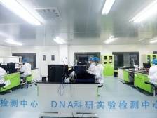 华美众源：走在法医DNA检测最前沿｜创新一线④