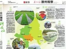 春日潮州，耕收忙|一文速览《南方日报·潮州观察》第80期