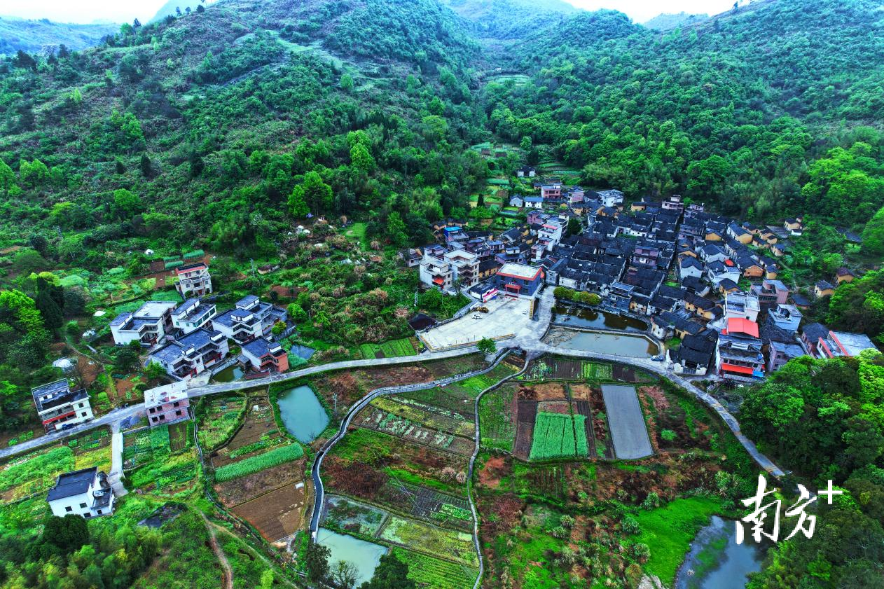 美丽村庄满眼春光。张邦亮 摄