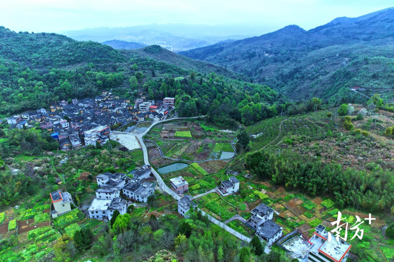 俯瞰乡村，田成方、渠相连、路相通……张邦亮 摄