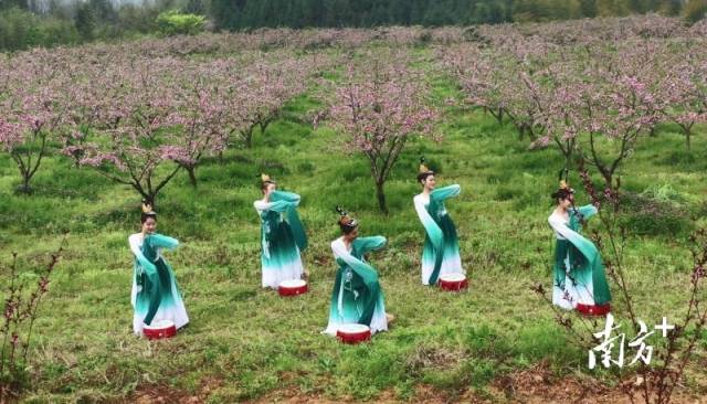 南方农村报 杨吉龙 拍摄