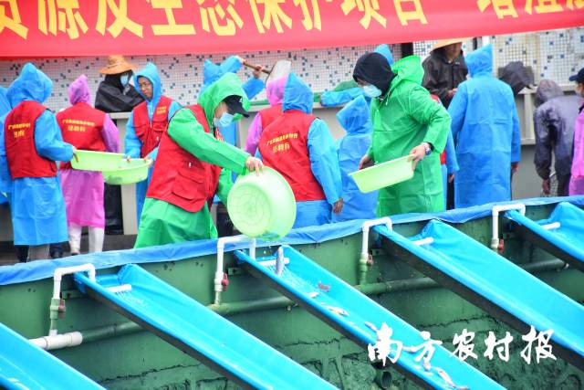 02  受訪者供圖