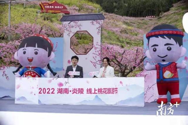 2022中国·炎陵线上桃花旅游节启动