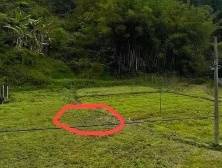 南方视频 | 村民在坠机核心区10公里处发现疑似飞机残骸