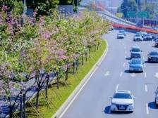 南方眼・观南山｜解读南山助企纾困“18条”：下午发政策，晚上钱到账！