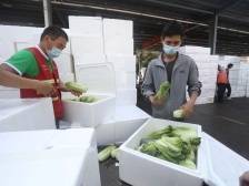 广东商务系统保供稳价应对疫情，全省粮油冻肉等储备充足