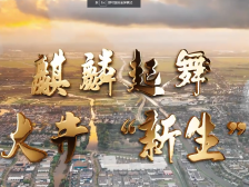 视频｜南沙大井村：麒麟起舞，古村新生