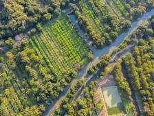 快评 | 以产业活水打造“广东农遗”响亮品牌