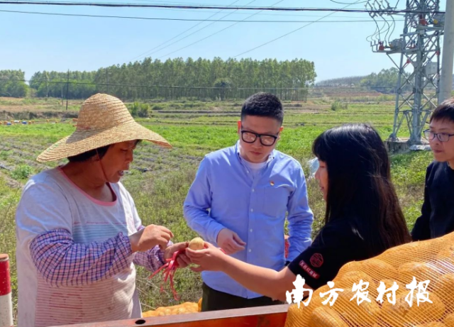 驻恩平良西镇鹤坪村第一书记劳泰霖每日跟进助销情况。