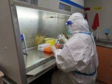 黄江抗疫暖心故事 | 绿码背后，是他们的坚守