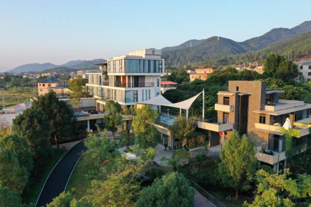 广东醉美生态农林发展有限公司。