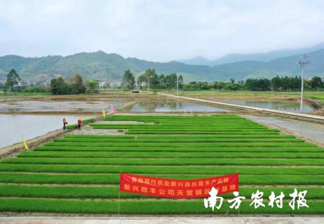 1  通讯员 南方农村报 供图