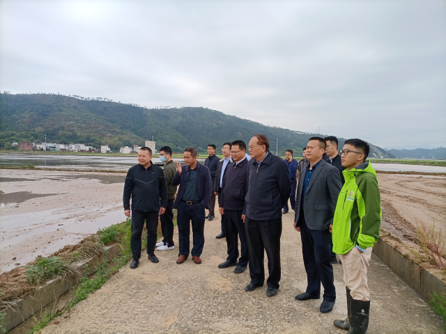 罗锡文院士现场指导