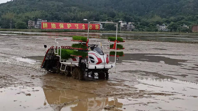 河源无人智慧农场种植“太空稻”