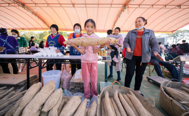 2022年元旦淮山农业公园现场（惠州日报周楠摄）