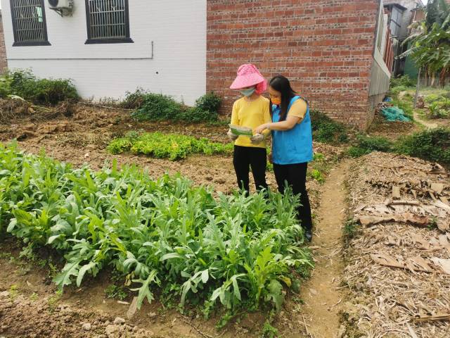 进行农产品安全相关宣传。