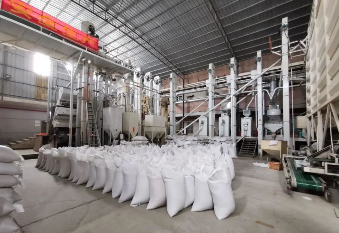 △丝苗米深加工