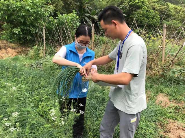 肇庆相关镇街监管人员对生产基地进行针对性抽检。