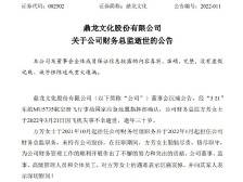 鼎龙文化：财务总监乘坐MU5735不幸逝世，暂由董秘代行职责